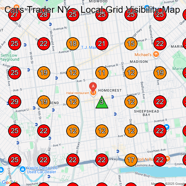 Cars Trader NY GeoGrid visibility map for Auto Auction in Brooklyn